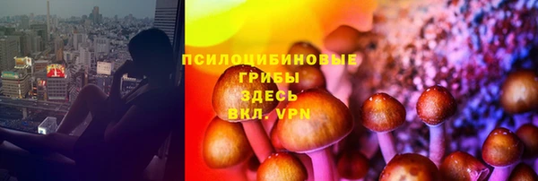мескалин Дмитров