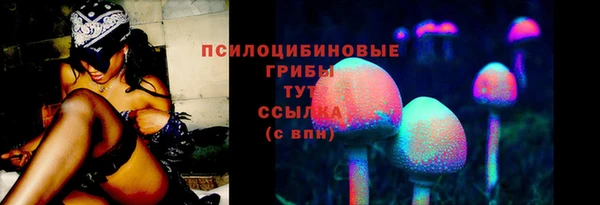 амф Дмитриев