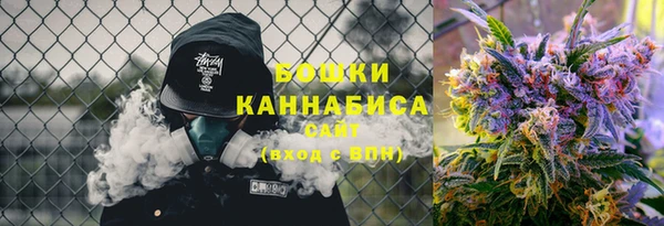амф Дмитриев