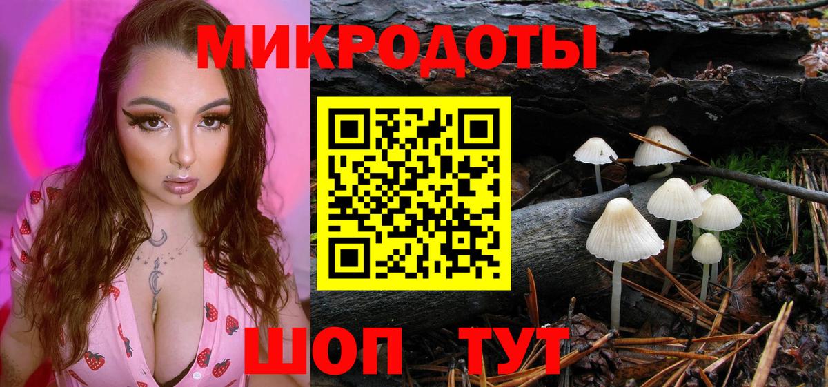 Псилоцибиновые грибы Psilocybine cubensis Елизово
