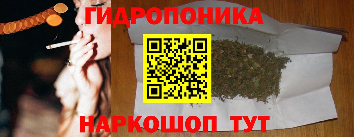 Шишки марихуана THC 21%  Канабис THC 21%  Елизово  Конопля план  Вход с VPN 